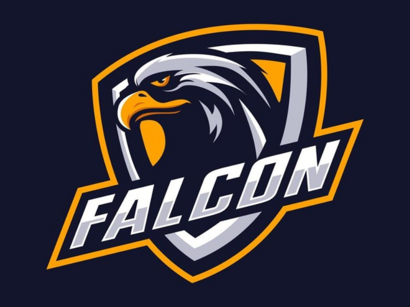 Falcon Multi Tool Credit Refill – Any Quantity (Existing User) Image
