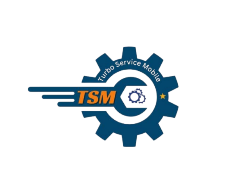 TSM-Pro 12 Months Activation Image