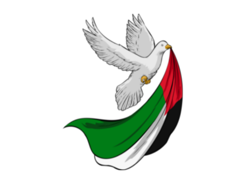 Arab FRP Tool - 1 Year